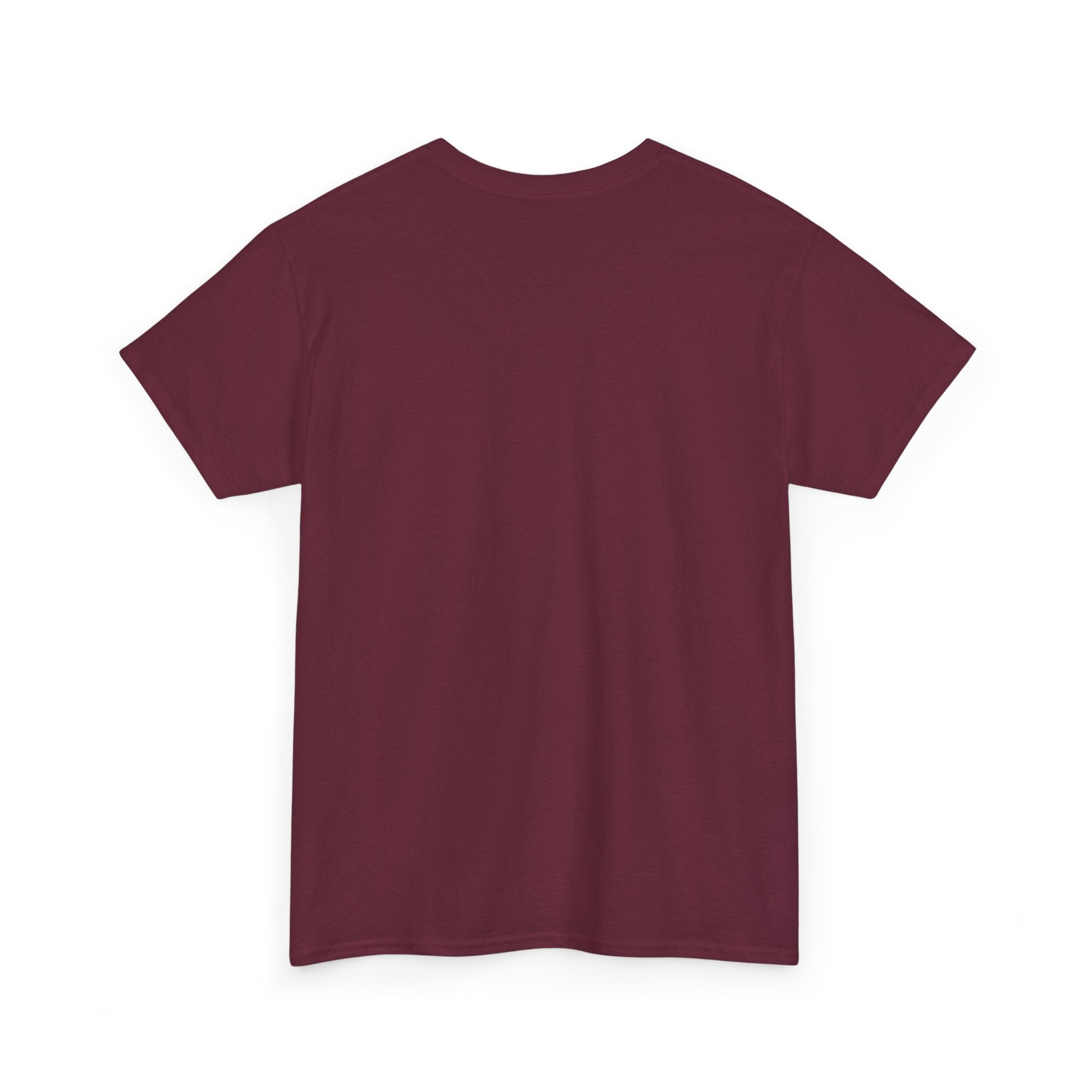 Southern Outlaw Graphic Tee | Unisex Heavy Cotton Tee for Country Music Lovers, Festival Wear, Casual Style, Gift for Him/Her