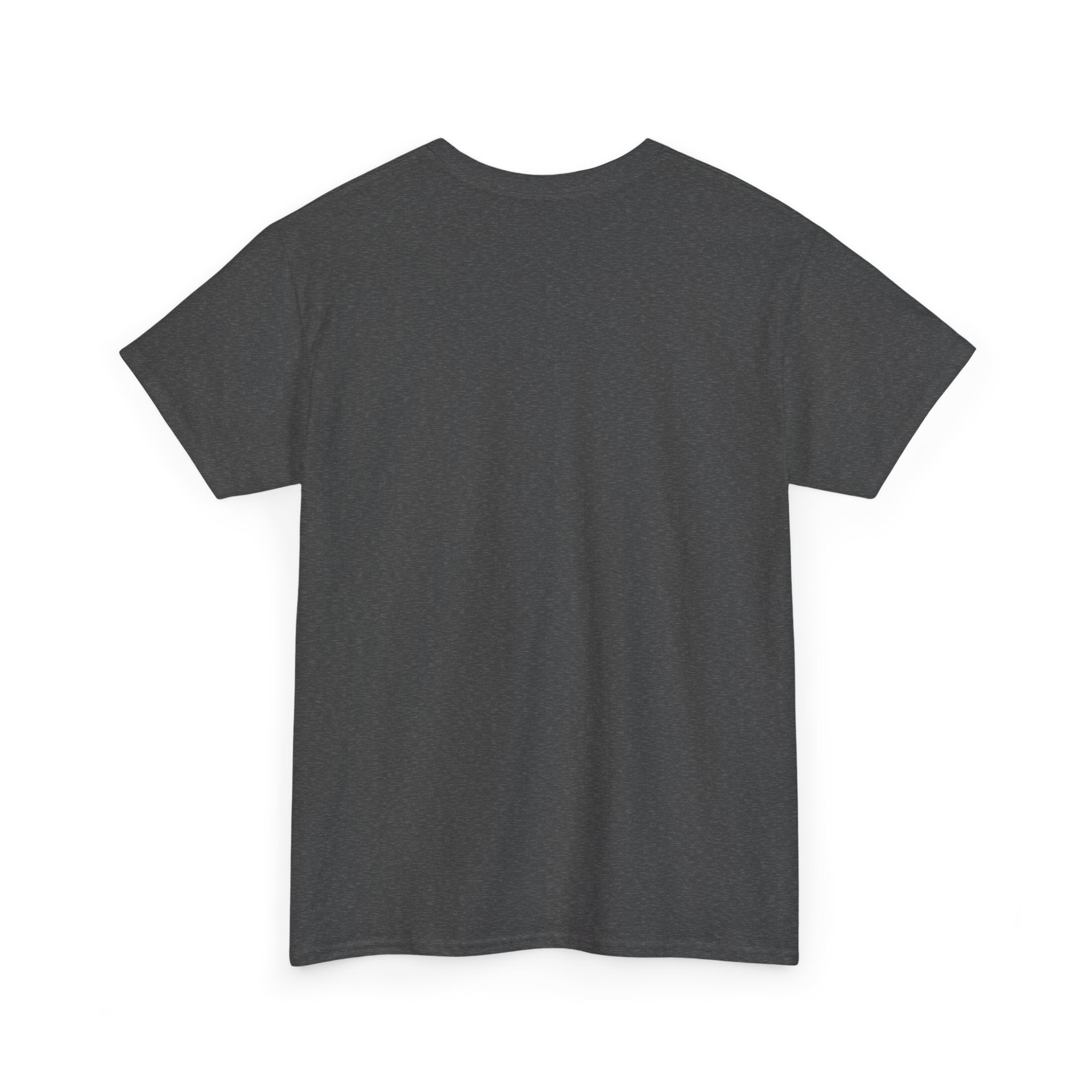 Southern Outlaw Graphic Tee | Unisex Heavy Cotton Tee for Country Music Lovers, Festival Wear, Casual Style, Gift for Him/Her