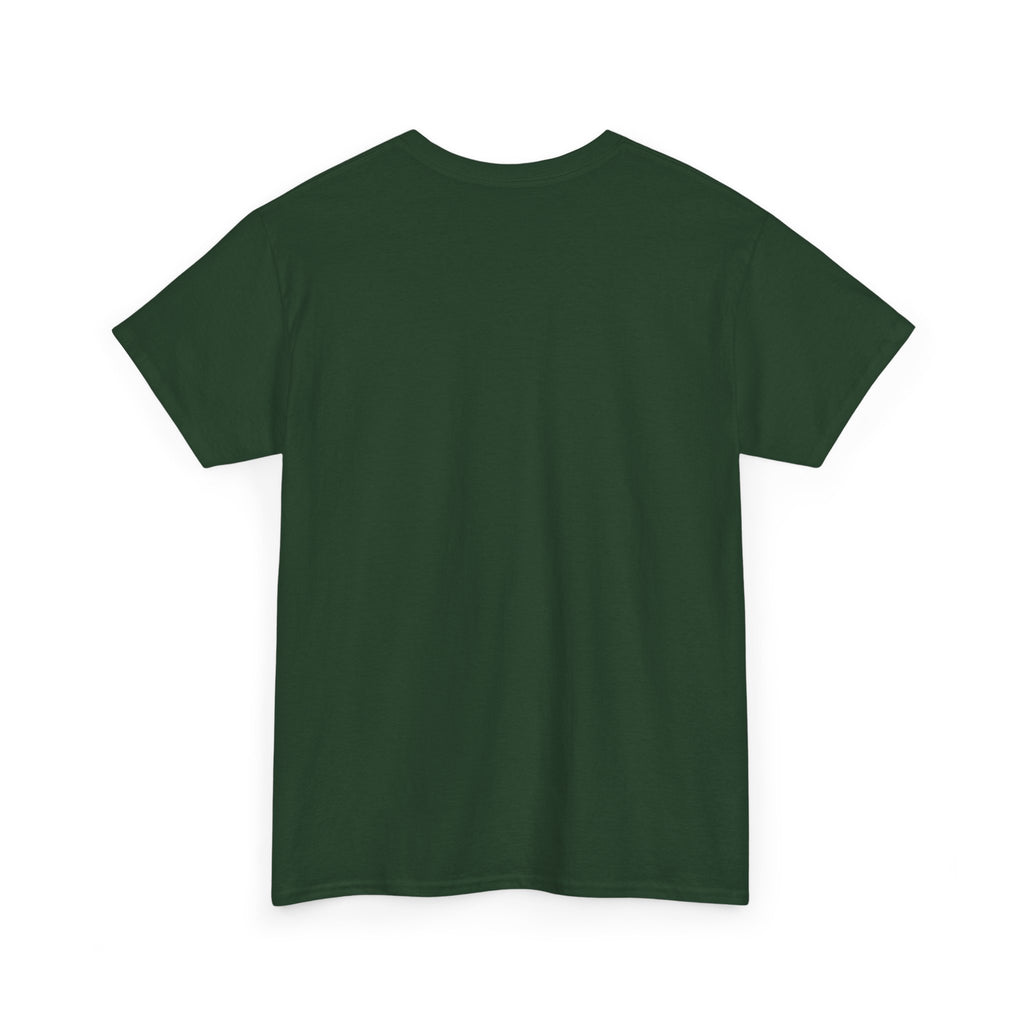 Southern Outlaw Graphic Tee | Unisex Heavy Cotton Tee for Country Music Lovers, Festival Wear, Casual Style, Gift for Him/Her
