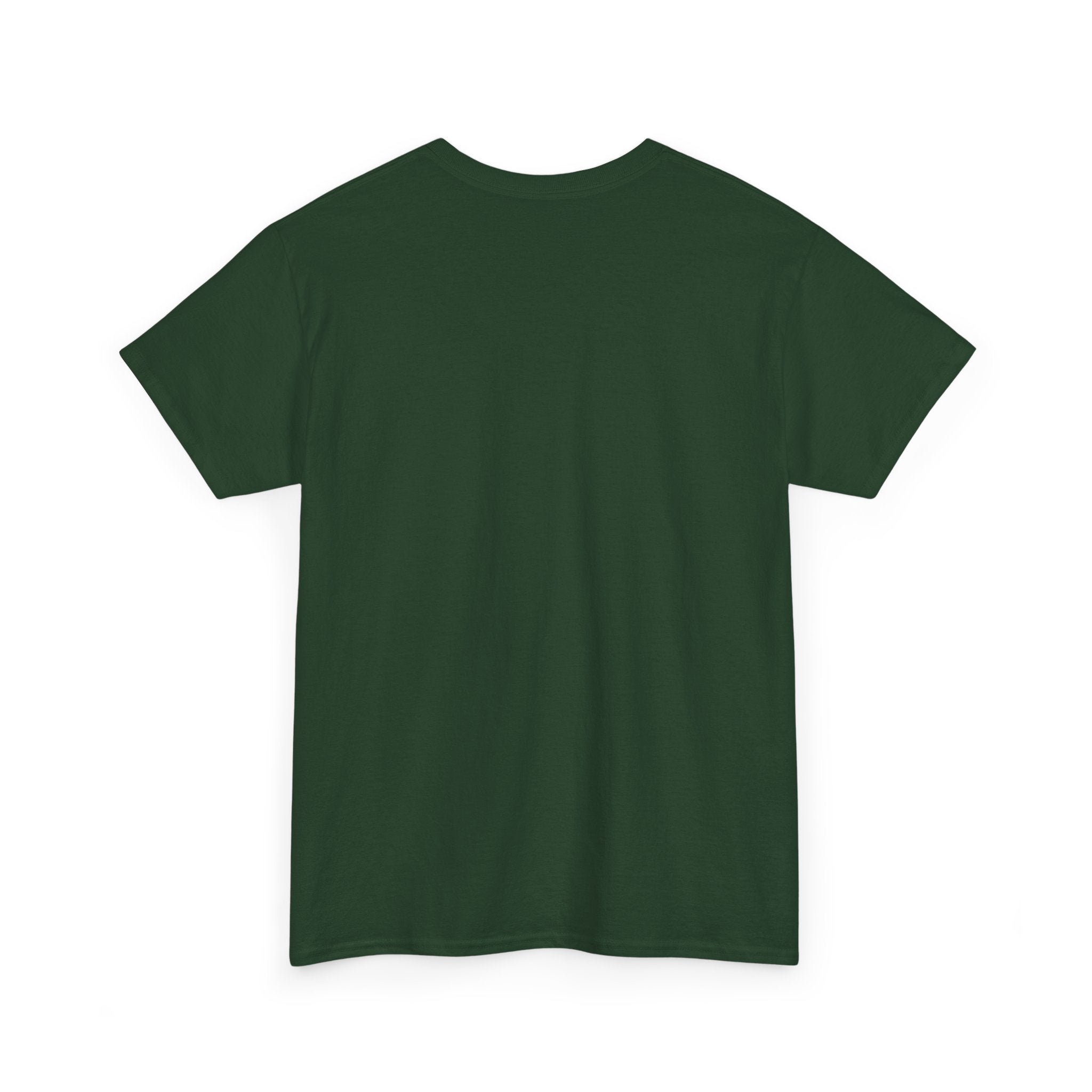 Southern Outlaw Graphic Tee | Unisex Heavy Cotton Tee for Country Music Lovers, Festival Wear, Casual Style, Gift for Him/Her