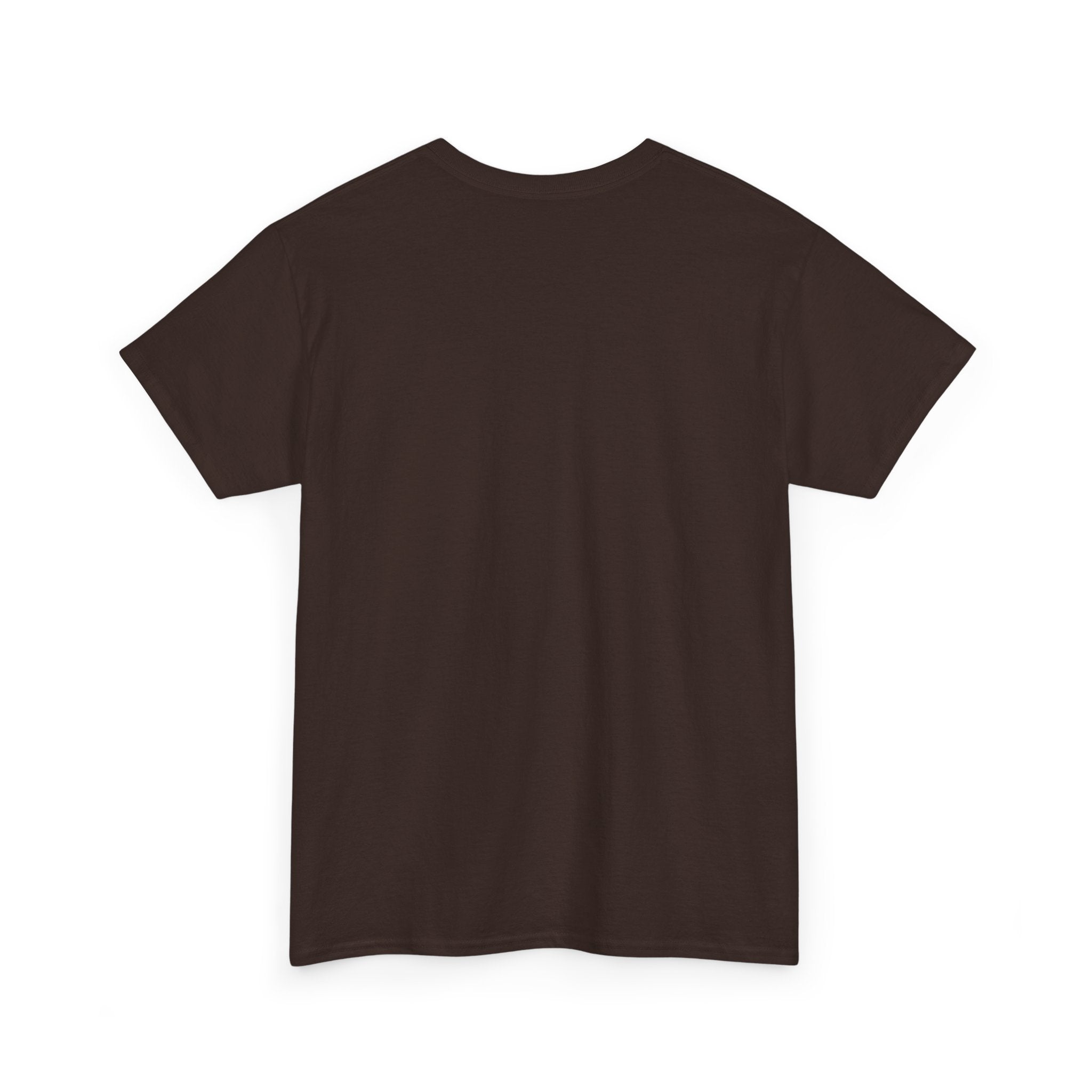 Southern Outlaw Graphic Tee | Unisex Heavy Cotton Tee for Country Music Lovers, Festival Wear, Casual Style, Gift for Him/Her