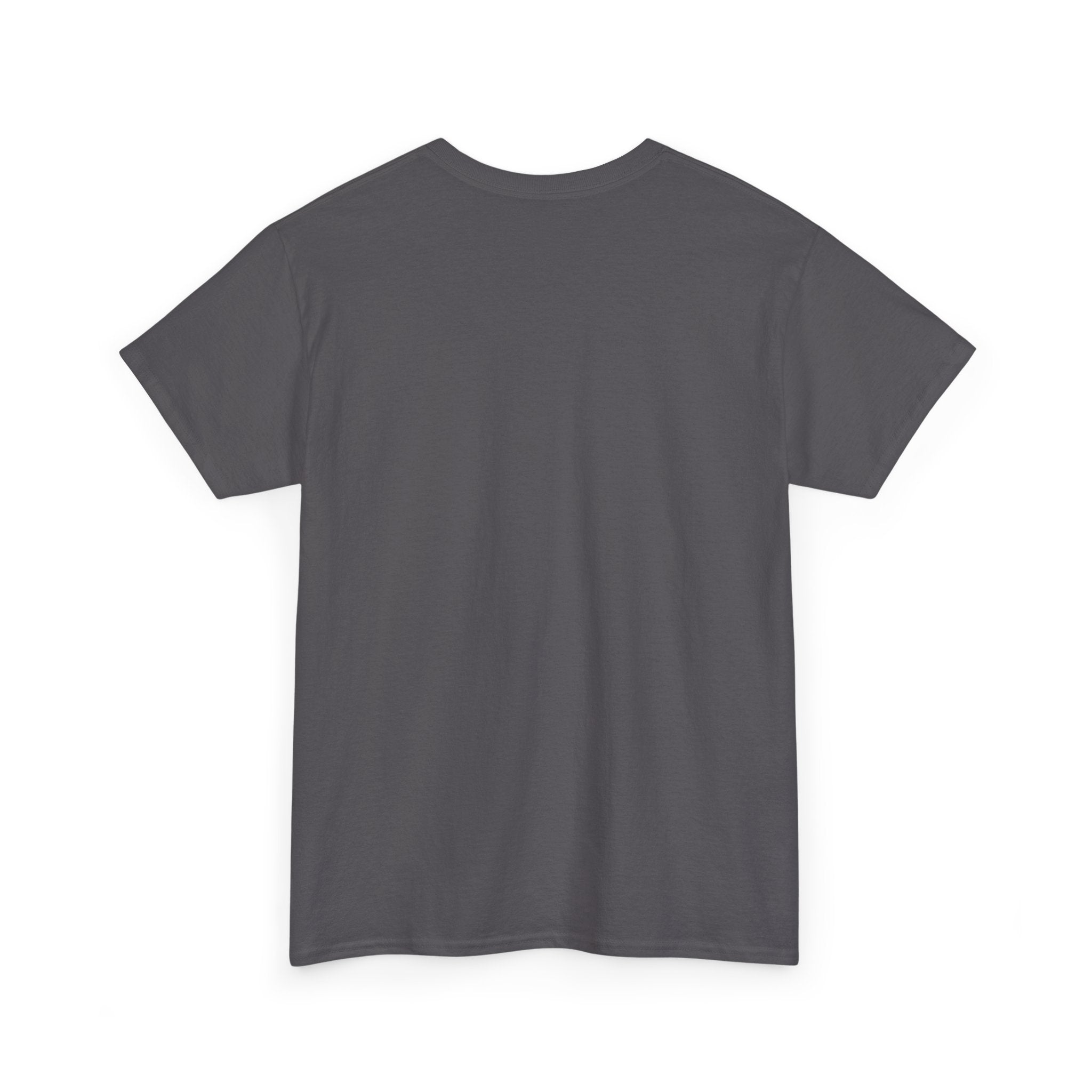 Southern Outlaw Graphic Tee | Unisex Heavy Cotton Tee for Country Music Lovers, Festival Wear, Casual Style, Gift for Him/Her