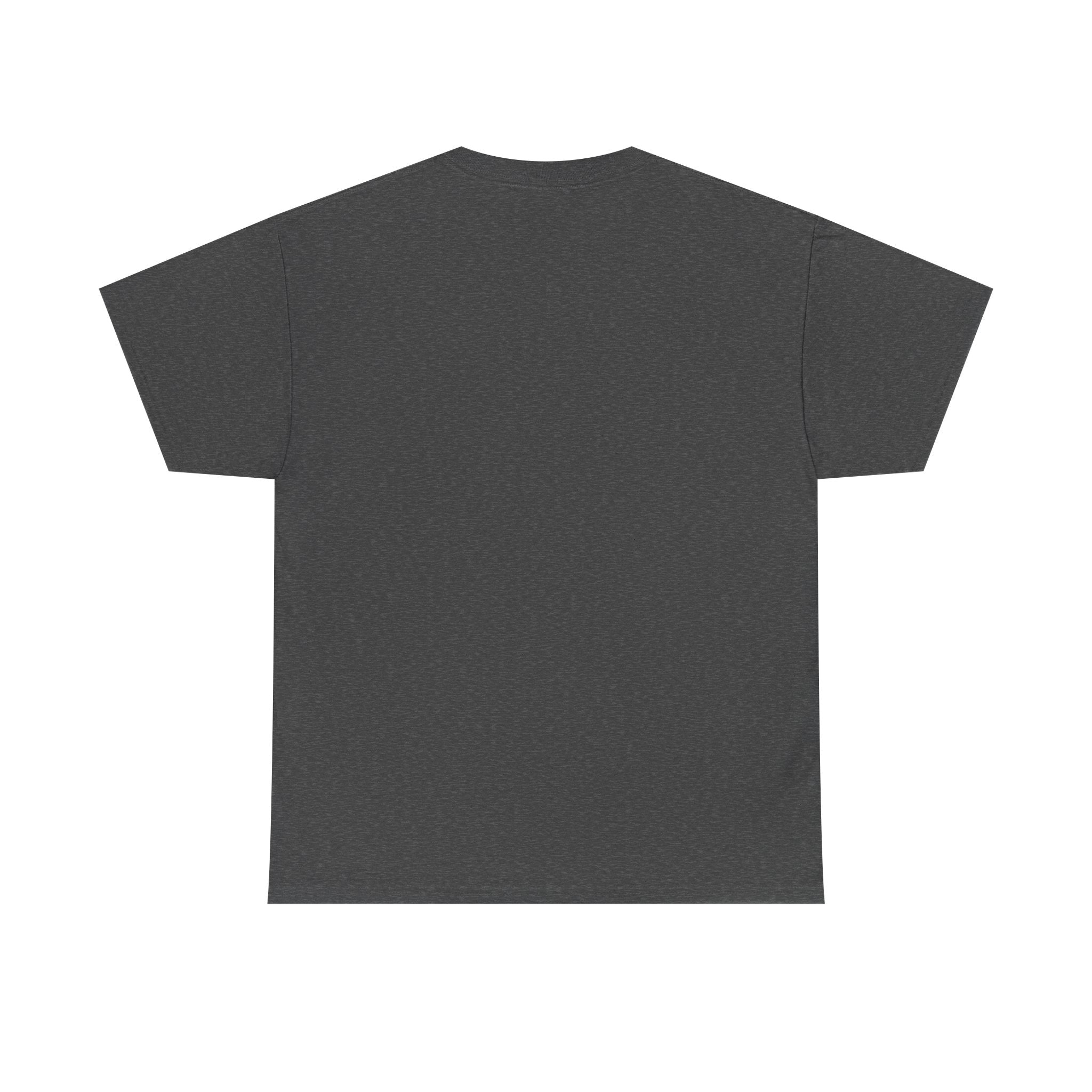 Southern Outlaw Graphic Tee | Unisex Heavy Cotton Tee for Country Music Lovers, Festival Wear, Casual Style, Gift for Him/Her